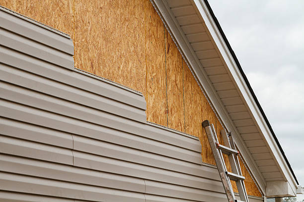 Professional Siding Repair technician working in Fredericksburg, VA